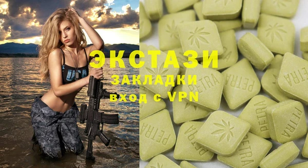 ECSTASY Богородицк