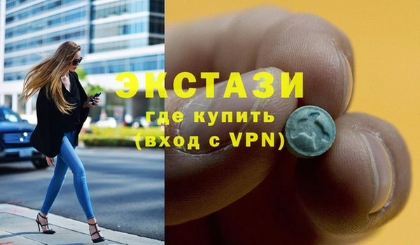 ECSTASY Богородицк